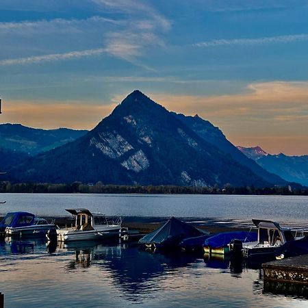 Au Bord Du Lac Darligen Экстерьер фото