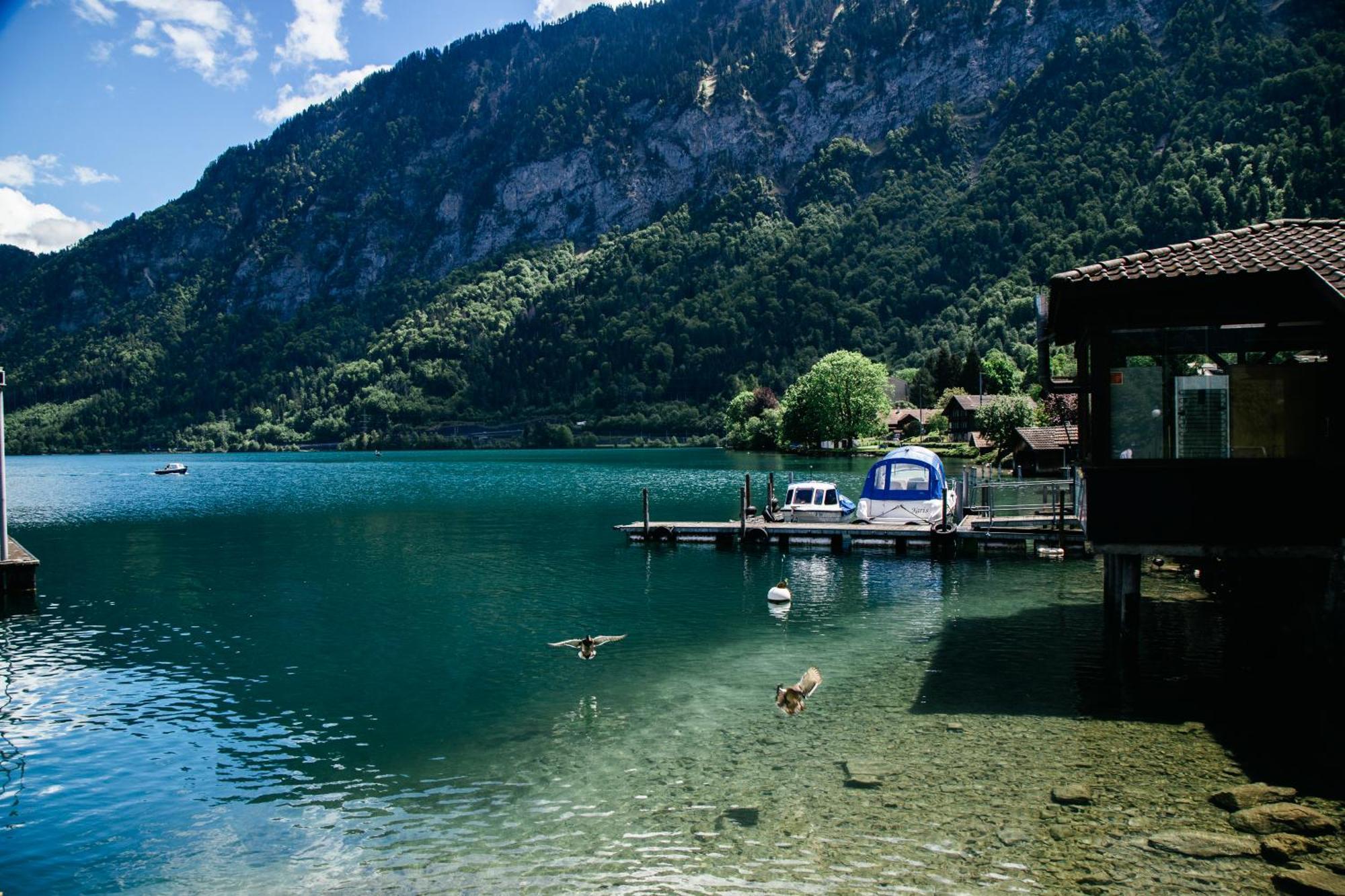Au Bord Du Lac Darligen Экстерьер фото